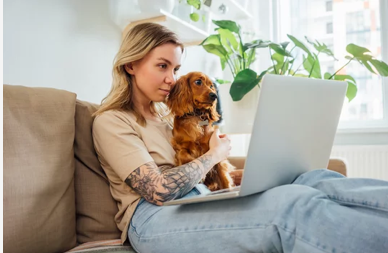 Tiere im Büro? Das bringt der Bürohund!